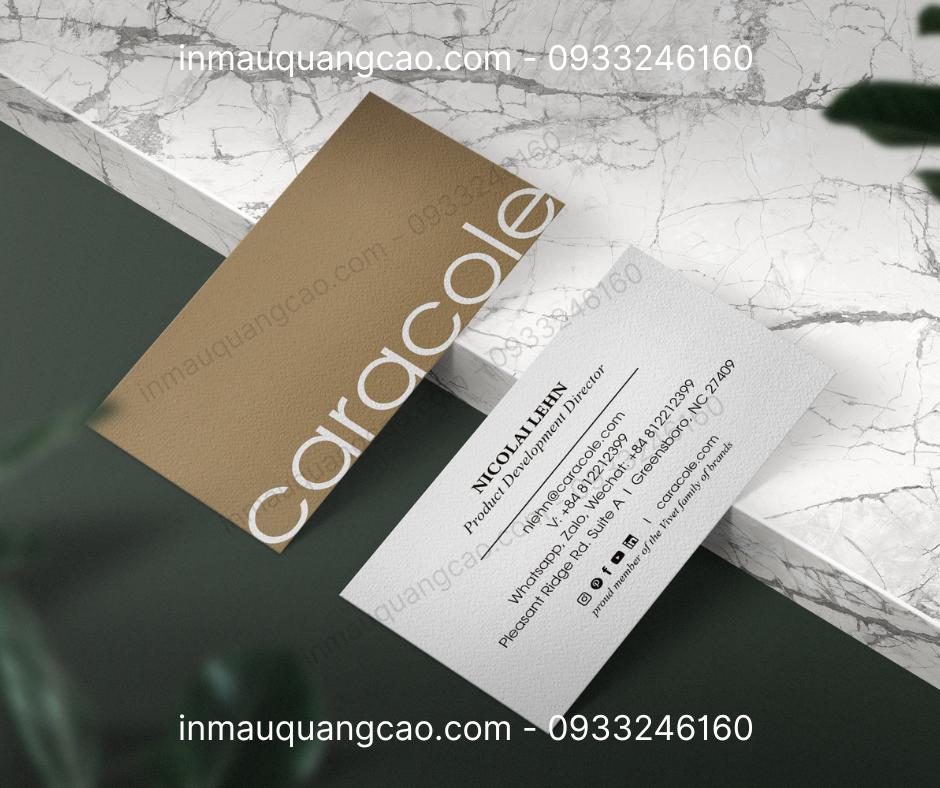 Mẫu card visit công ty caralone - in card visit Bình Dương TPHCM